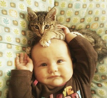Milota без граници 23 снимки на най-хубавия децата с котки