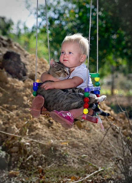 Milota без граници 23 снимки на най-хубавия децата с котки
