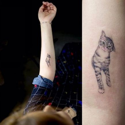 котката Настоящото стойност татуировка (котка) Истинското значение на татуировка котка