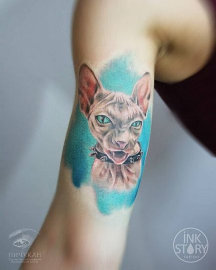 Стойността на настоящото татуировка котка (татуировки) Истинското значение на татуировка котка