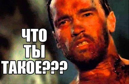 Малко за Blackbox (Blackbox) Малко за Blackbox