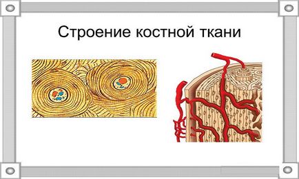 Защо боли от всички кости и стави причини, симптоми, какво да правя