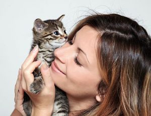 Защо котките мърка и urchat от котки издават звуци, какво означават те