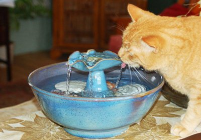 Питейна купа фонтан за котки