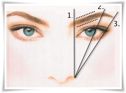 Правилната форма на веждите, и как да растат вежди бързо, женски слабост