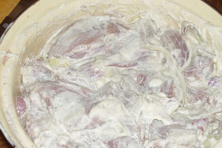 Най-вкусните шишчета от свинско месо как да правят маринатата, месото е меки и сочни