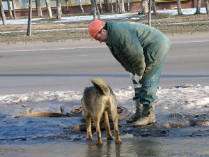 Fine за разходка на кучето на грешното място в България Размер