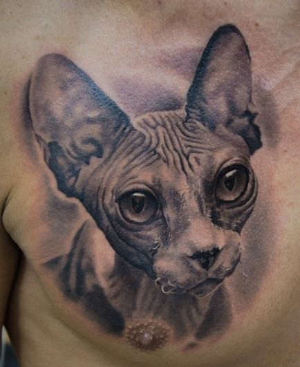 Татуировка стойност котка на момичета, момчета, и - в зоната