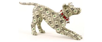 Топ 10 на най-скъпите породи кучета в света