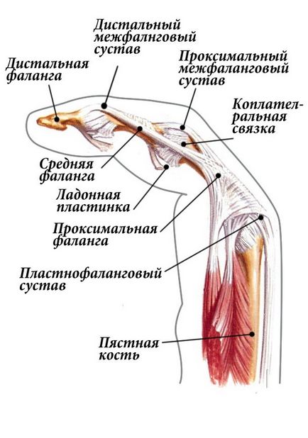 нараняване на пръстите по волейбол