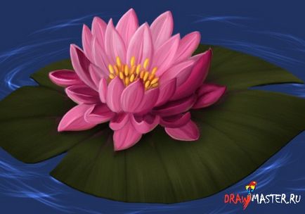 Научете се да нарисува водна лилия