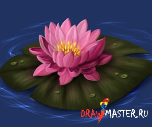 Научете се да нарисува водна лилия