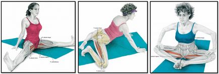 Стречинг упражнения или мускулите растат голям и много голям