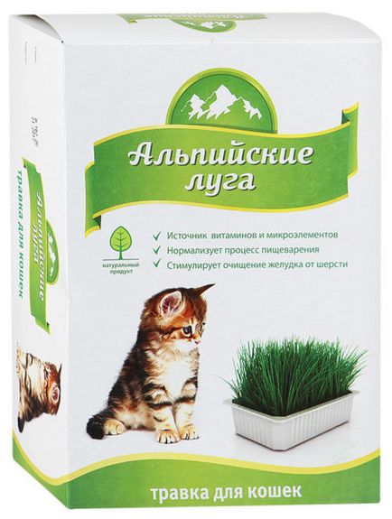 Отглеждане на трева за котки 2 валидиран версия