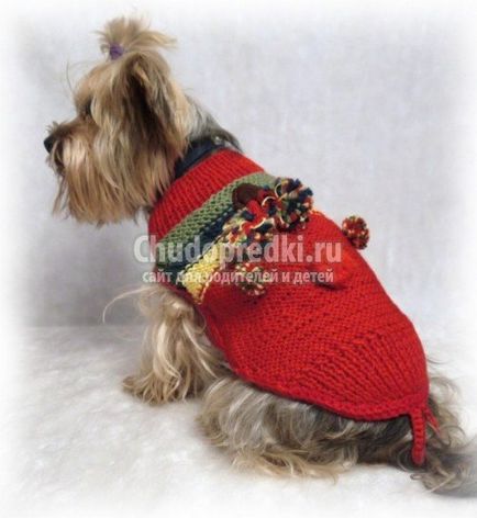 Плетени дрехи за кучета с ръцете си модели, описание на плетиво и семинари