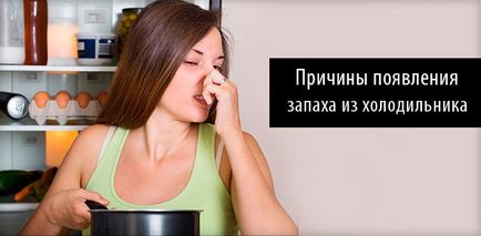 Миризмата в хладилника - как да се отърве бързо популярните и магазин означава, видеоклипове и коментари (хладилник) Миризмата в хладилника - как да се отърве бързо популярните и магазин означава, видеоклипове и коментари