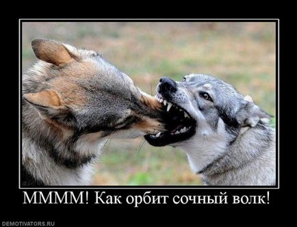 50 demotivators за всички поводи (животът) 50 demotivators за всички поводи