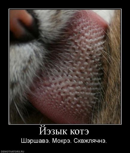 50 demotivators за всички случаи (demotivators) 50 demotivators за всички поводи
