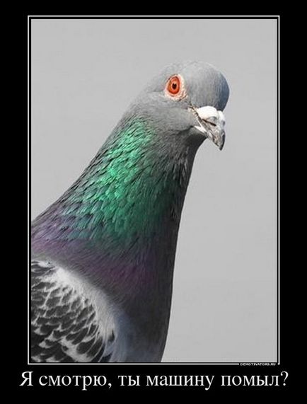 50 demotivators за всички случаи (demotivators) 50 demotivators за всички поводи