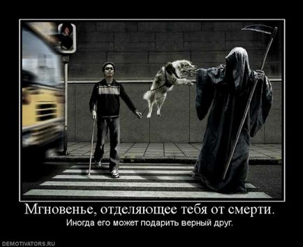 50 demotivators за всички случаи (demotivators) 50 demotivators за всички поводи