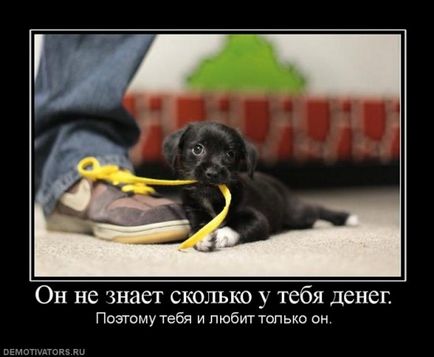 50 demotivators за всички поводи (животът) 50 demotivators за всички поводи