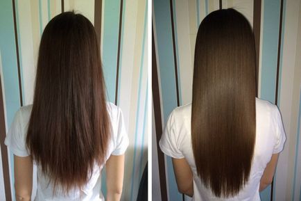 6 Процедури за косата в салона, красотата и ефективно възстановяване корморан