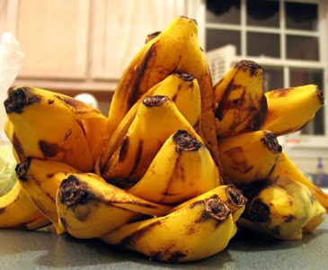 Бананови кори като тор за зеленчукова градина, стайни, цветя