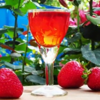 Ястия с ягоди 459 рецепти