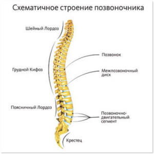 Опасният навика да седи с кръстосани крака