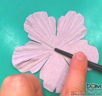 Цветята на мастика с ръцете си стъпка по стъпка майсторски клас със снимки и видео