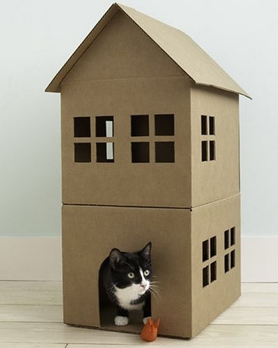 Малка къща за котка със собствените си ръце от обичайните прозорец