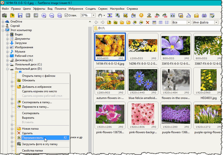 FastStone Image Viewer - каква програма (и) FastStone Image Viewer - каква програма