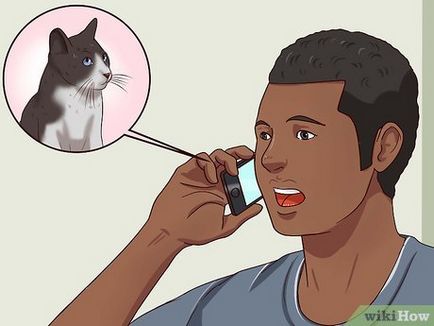 Как да се отървем от котките