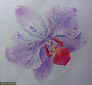 Как да се направи орхидея постепенно цветни моливи