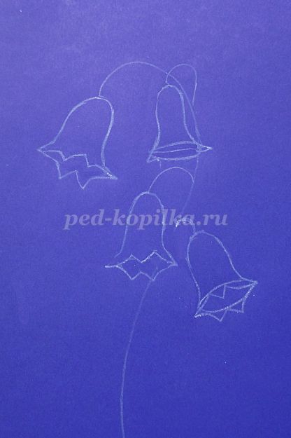 Как да нарисувате цвете камбани на етапи (стъпка по стъпка) Как да нарисувате цвете звънци етапи