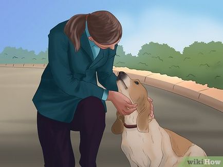 Как да общуваме с кучето си