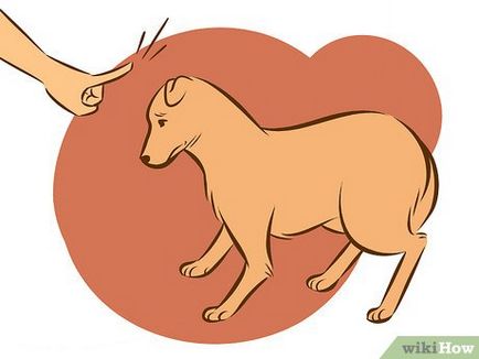 Как да се отбие куче от похотливо поведение