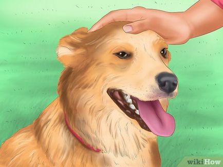 Как да се намали кучешки нокти