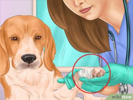 Как да се намали кучешки нокти