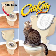 Как да научим коте до тоалетна, 3 начина, котки бележки от опитен ветеринар