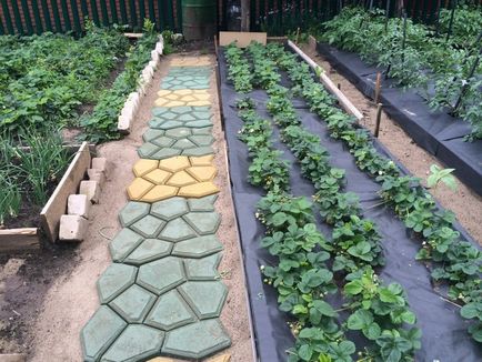 Как да си направим евтин път градина със собствените си ръце избора на материали и инструкции за инсталиране