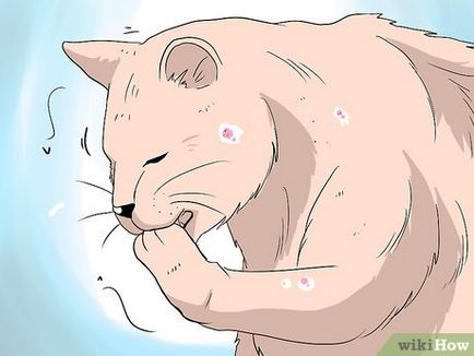 Как да се справим с косопад при котките