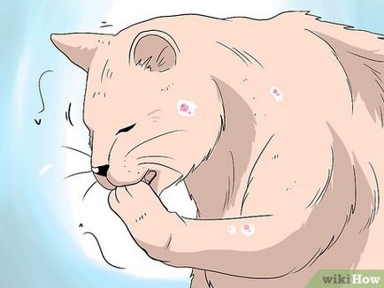 Как да се справим с косопад при котките (котки) Как да се справим с косопад при котките