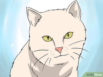 Как да се справим с косопад при котките