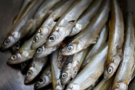 Как да съхранявате сушена риба у дома 3 2 краткосрочен и дългосрочен метод