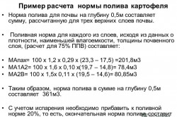 Капково напояване на картофени предимства на метода (ползите) Капково напояване на метод картофени предимства
