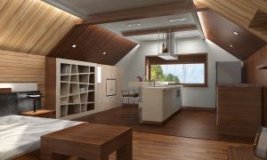 Кухня-спалня (39 снимки) в една стая ръководство видео за декориране вашия дизайн