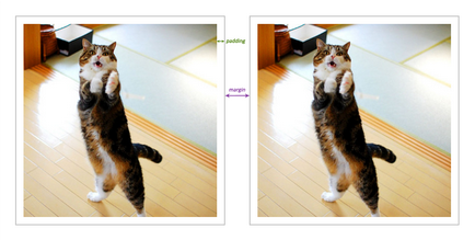 Допустимо и подложка CSS поле и подложка (марж) Марж и поле CSS уплътнение и уплътнение