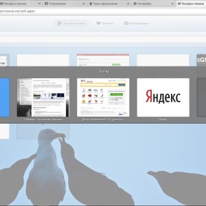 Opera Express панел - спаси, инсталиране, конфигуриране, възстановяване, да направи начална страница, създаване на (опера) Opera Express панел - спаси, инсталиране, конфигуриране, възстановяване, да направи начална страница, създаване на