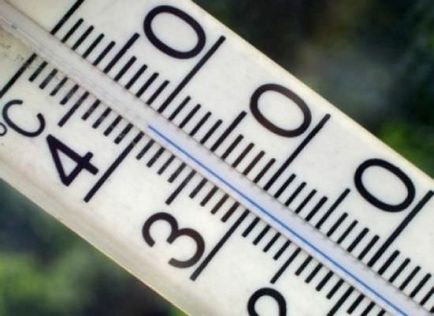 Основните правила на отглеждане здрав разсад (отглеждане) Основните правила на нарастващите здрави разсад